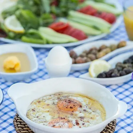 Deniz Kabugu