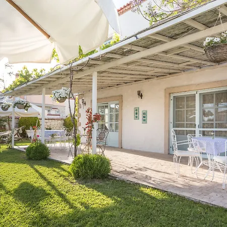 Deniz Kabugu アラカティ